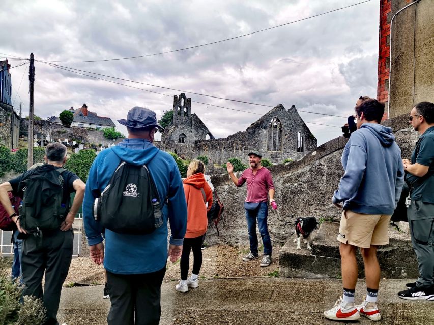 Dublin: Dublin Coastal Hike and Pints & Puppies - Who should book this Howth walk?