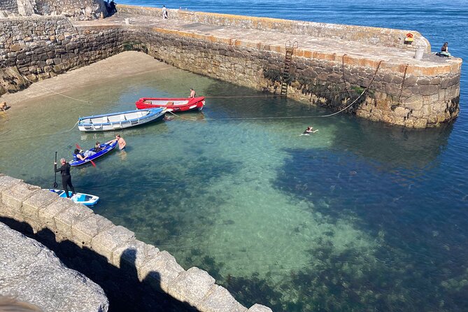 Dublin (Dun Laoghaire) Top-Rated Coastal Walking Tour - Bulloch Harbour and the chance to see seals