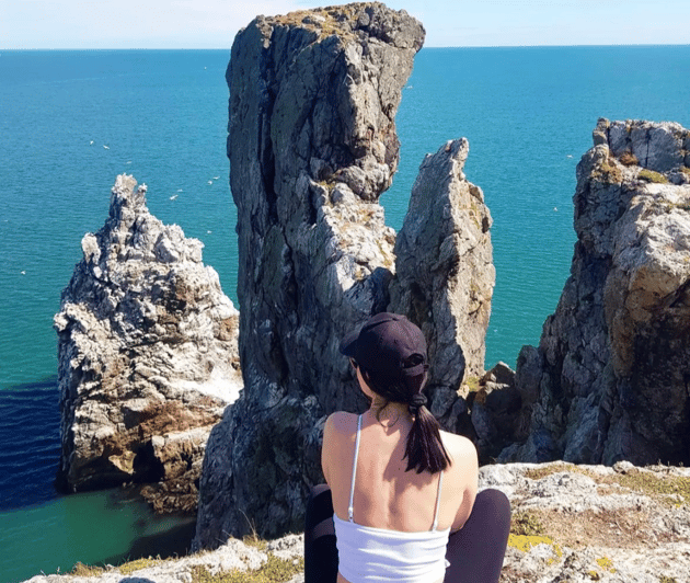 Dublin: Ferry from Howth to Ireland's Eye island - Puffins, cormorants, gannets, and seals