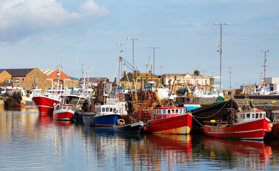 Dublin: Full-Day Howth and Malahide Castle Tour - Lunch and harbor time in Howth