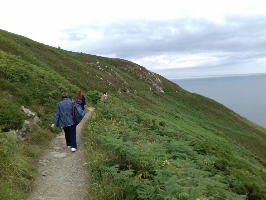 Dublin: Full-Day Howth and Malahide Castle Tour - The return through Bull Island and Fairview