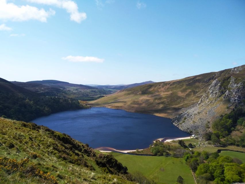 Dublin: Full-Day Wicklow Mountains Tour w/ Glendalough Visit - Key points at a glance