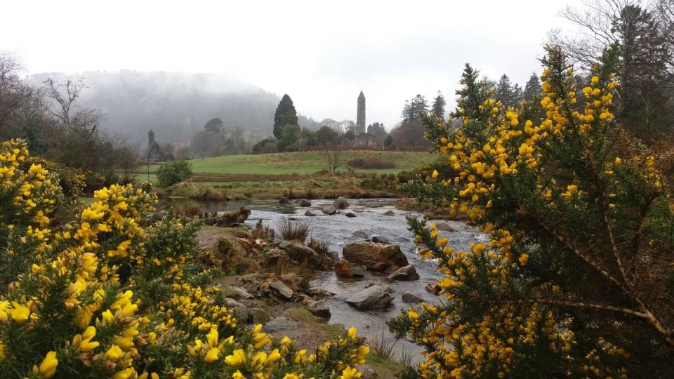 Dublin: Full-Day Wicklow Mountains Tour w/ Glendalough Visit - Leaving Dublin for County Wicklow