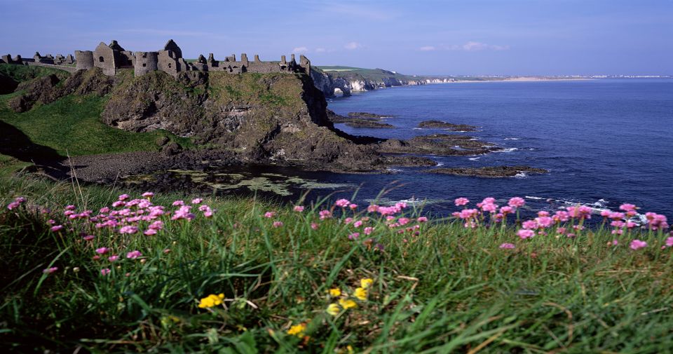 Dublin: Giant's Causeway & Belfast (Titanic or Black Taxi) - Who should book this tour