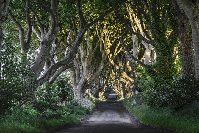 Dublin: Giant's Causeway, Dark Hedges, Dunluce and Belfast Titanic entrance fee - At a glance
