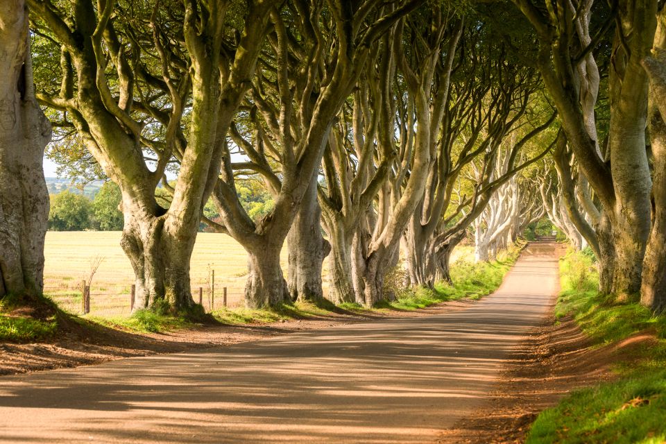Dublin: Giants Causeway, Dark Hedges, Dunluce & Belfast Tour - Key points at a glance