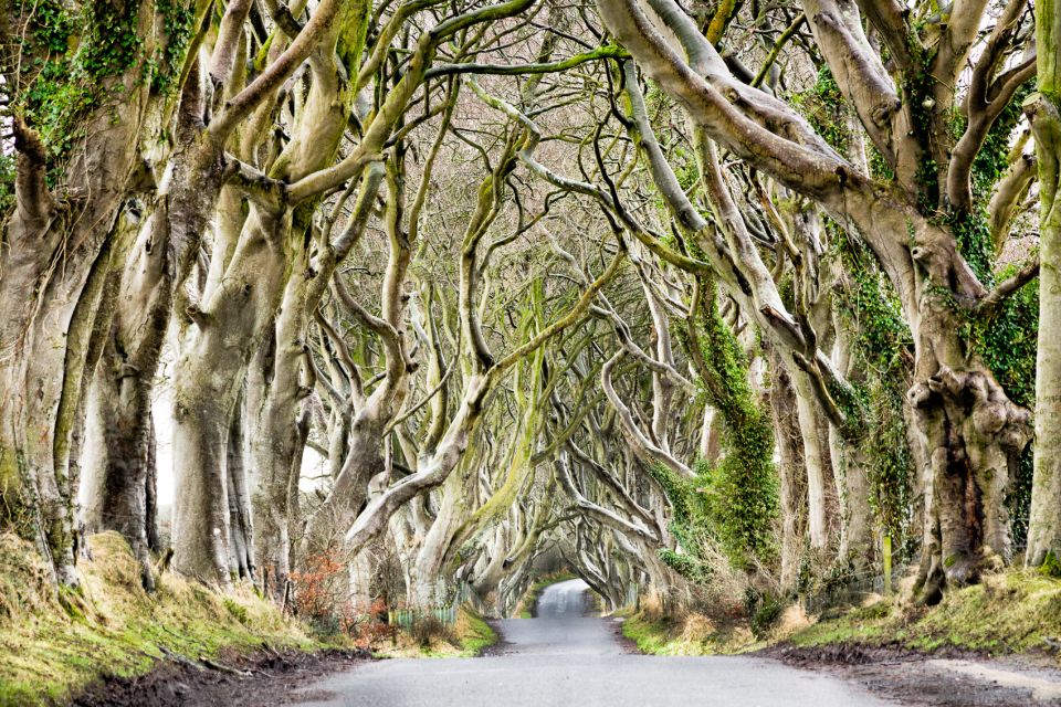 Dublin: Giants Causeway, Dark Hedges, Dunluce & Belfast Tour - Is $94 good value?
