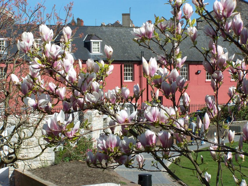 Dublin: Highlights and Hidden Corners Walking Tour - City Hall, Dublin Castle, and the old medieval quarter