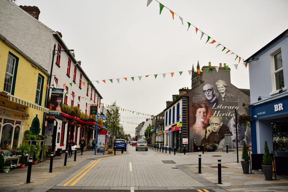 Dublin: Historical and Cultural Historical Walking Tour - Dublin Castle in just 10 minutes