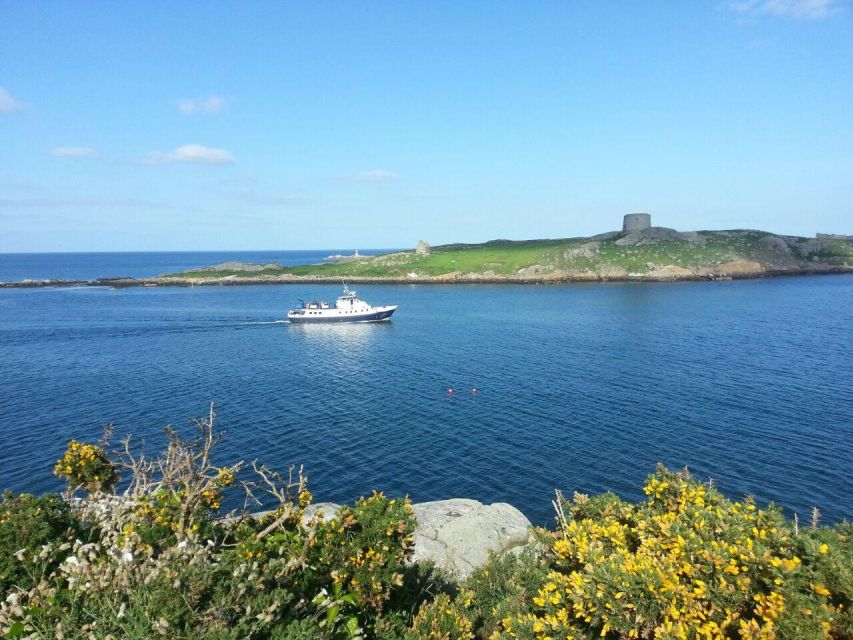 Dublin: Howth Cliffs and Ireland's Eye Boat Cruise - Howth Cliffs from the water