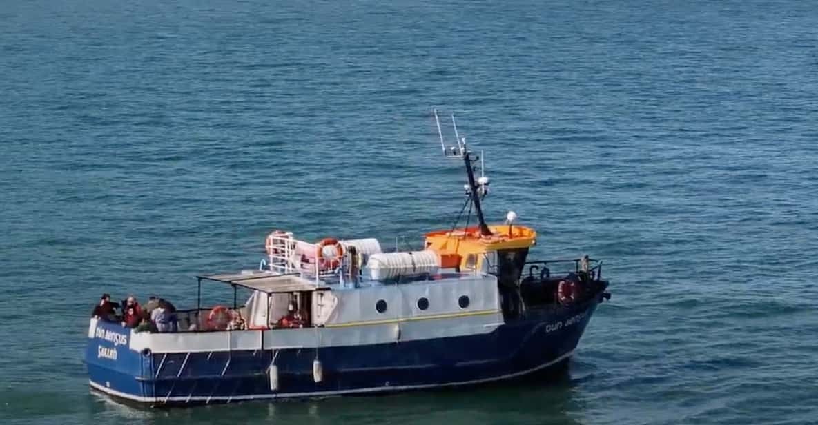Dublin: Howth Cliffs and Lighthouse Boat Tour - Key things to know before you book