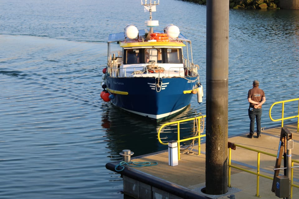 Dublin: Howth Cliffs and Lighthouse Boat Tour - Seeing Howth from the water