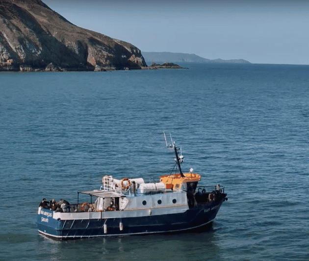 Dublin: Howth Cliffs and Lighthouse Boat Tour - Watching for seals, seabirds, and puffins