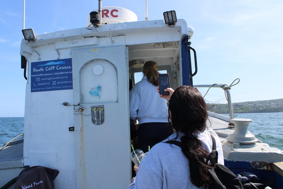 Dublin: Howth Cliffs and Lighthouse Boat Tour - What the 45-minute cruise feels like