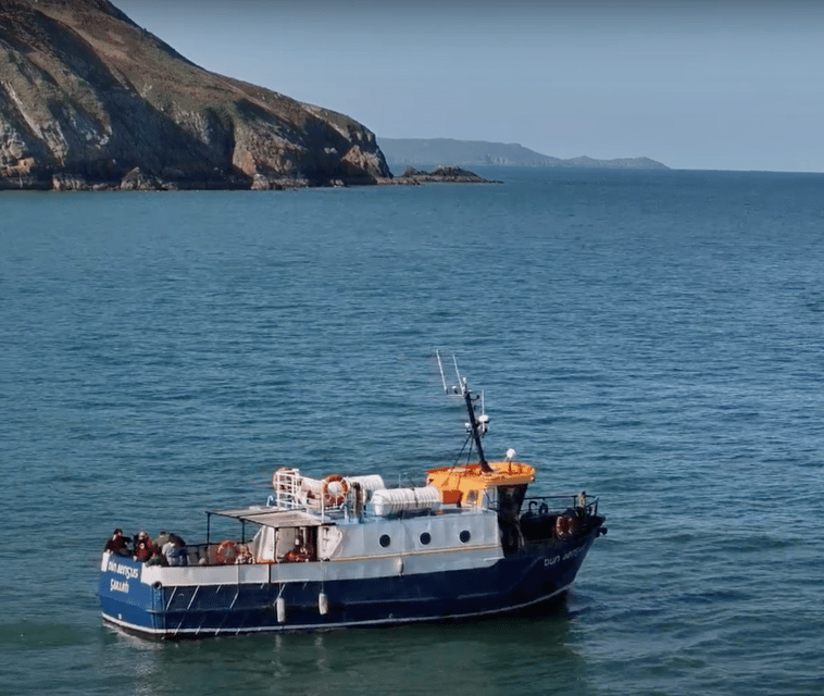 Dublin: Howth Cliffs and Lighthouse Boat Tour - Finding the boat at West Pier