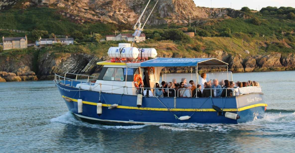 Dublin: Howth Cliffs and Lighthouse Cruise - Who will enjoy this Howth cruise?