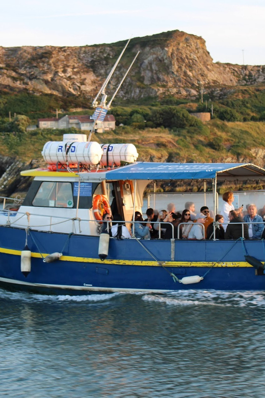 Dublin: Howth Coast and Ireland's Eye Boat Tour - Cruising from the harbour toward Ireland’s Eye