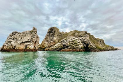 Dublin: Howth Coastal Boat Tour - Practical Details That Matter