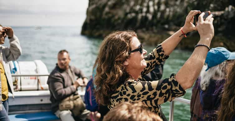 Dublin: Howth Coastal Boat Tour - Ireland’s Eye, Sea Caves, and the Stack