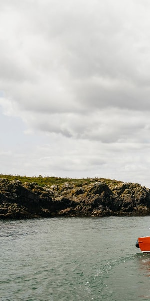 Dublin: Howth Coastal Boat Tour - Birdwatching Without Needing Expert Eyes