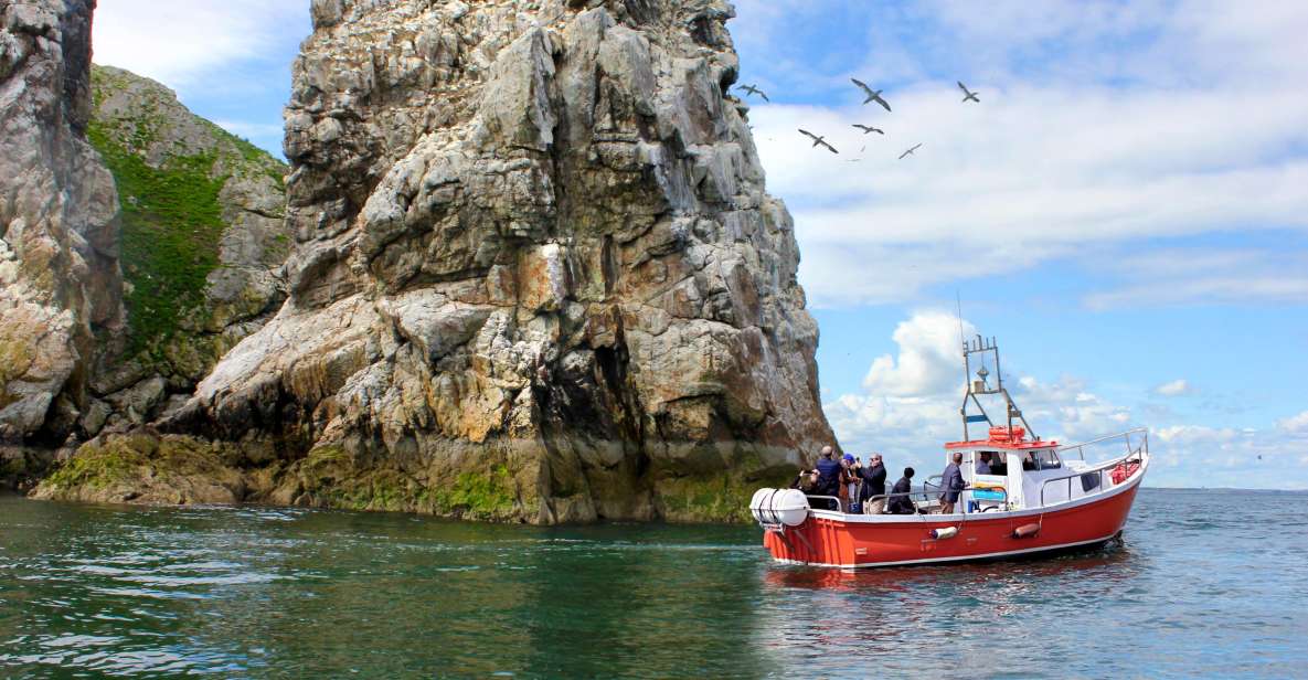 Dublin: Howth Coastal Boat Tour - Who Will Enjoy This Howth Boat Trip Most?
