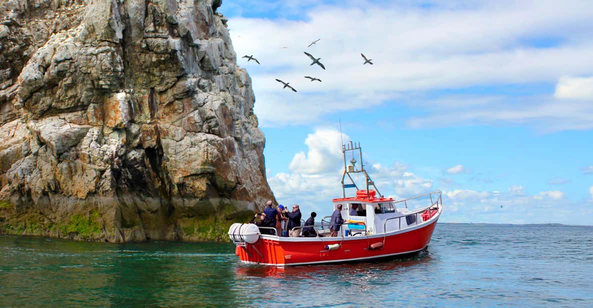 Dublin: Howth Coastal Boat Tour - What the 50-Minute Route Actually Shows You