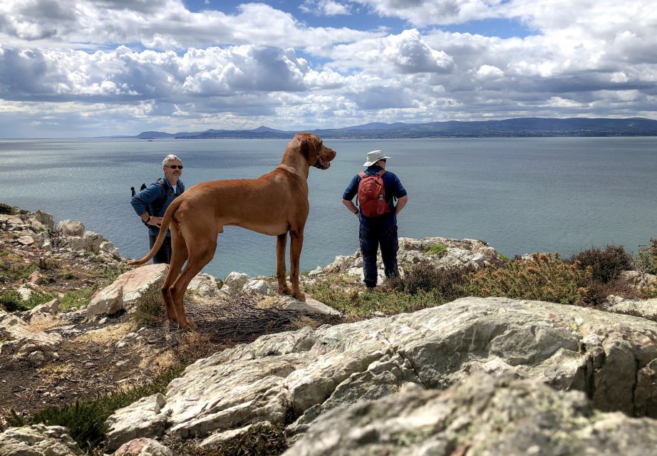 Dublin: Howth Coastal Hiking Tour - Why Howth works so well as a Dublin day trip