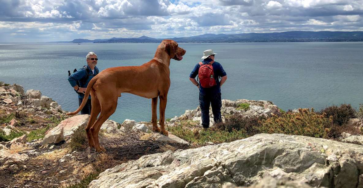 Dublin: Howth Coastal Hiking Tour - Starting at Howth Market and the harbour
