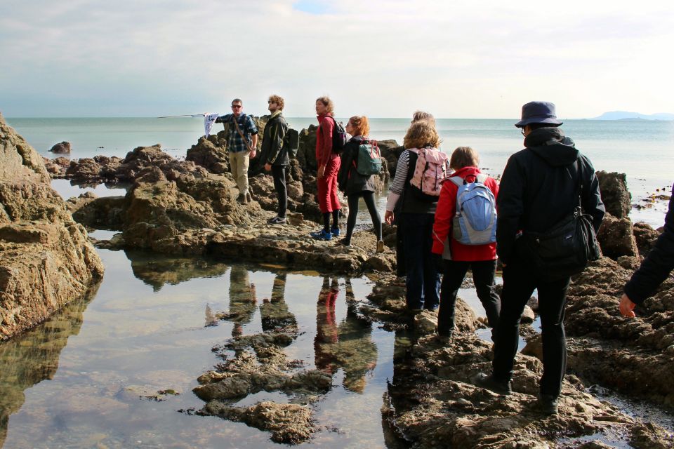 Dublin: Howth Safari Hiking Tour - Martello Tower Sutton and Howth’s defenses