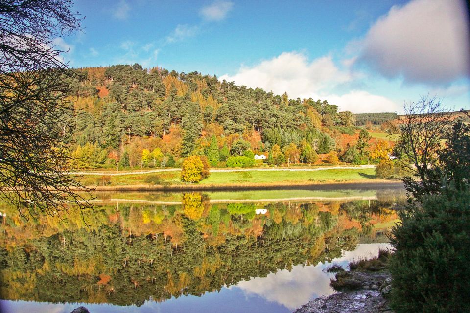 Dublin: Kilkenny, Wicklow & Glendalough Tour & Sheepdog Show - Food, comfort, and the long ride home