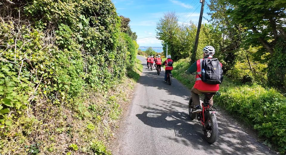 Dublin: Panoramic e-Bike Tour - Who should book this ride?