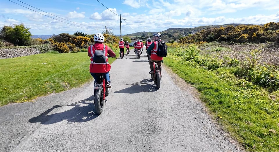 Dublin: Panoramic e-Bike Tour - Price, timing, and practical value