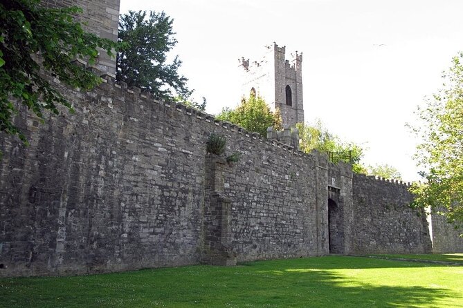 Dublin Private Medieval Walking Tour - Dublin Castle and the medieval center