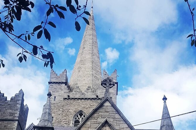 Dublin Private Medieval Walking Tour - Dubh Linn Gardens and the Viking roots of Dublin