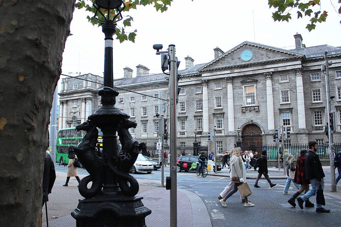 Dublin Private Walking Tour | 3 hour Highlights & Hidden Gems - Wolfe Tone, Dame Lane, and the 1916 Rising