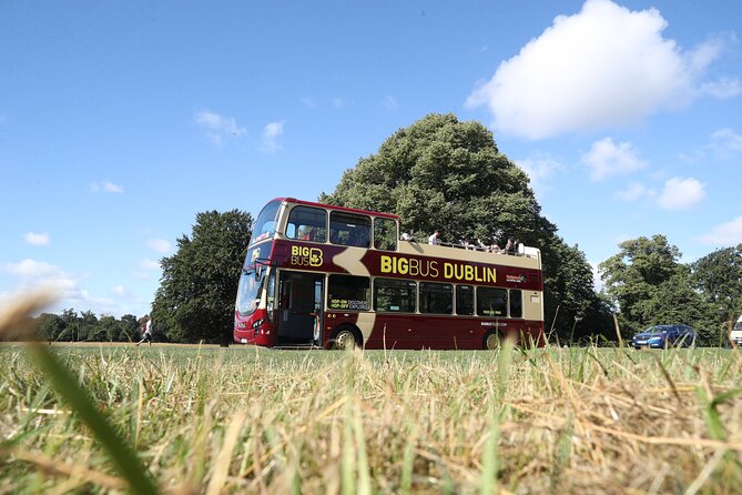 Dublin Shore Excursion, Live Guided Open-top, Hop-on Hop-off Sightseeing Tour - Live narration, language choices, and the guide factor