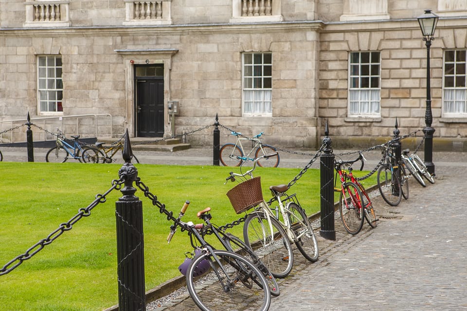 Dublin: St Patrick's, Book of Kells, and Dublin Castle Tour - The guides are a major part of the value