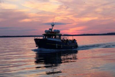 Sunset Cruise in Howth