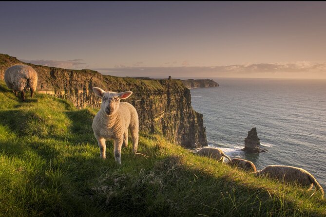 Dublin to Cliffs of Moher, Ennis Town & Bunratty Castle Day Tour - How much value do you get?