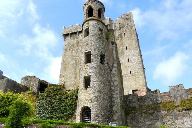 Dublin to Cork, Blarney Castle & Cóbh Heritage Centre by train - The 7:00 train from Dublin Heuston