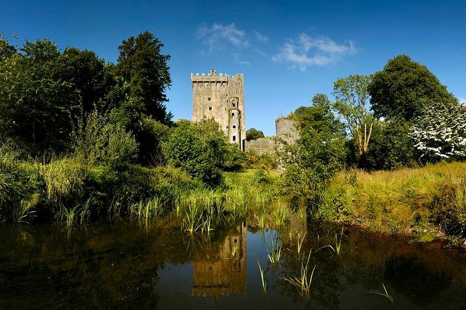 Dublin to Rock of Cashel, Cork City & Blarney Castle Guided Tour - Blarney Woollen Mills and shopping time