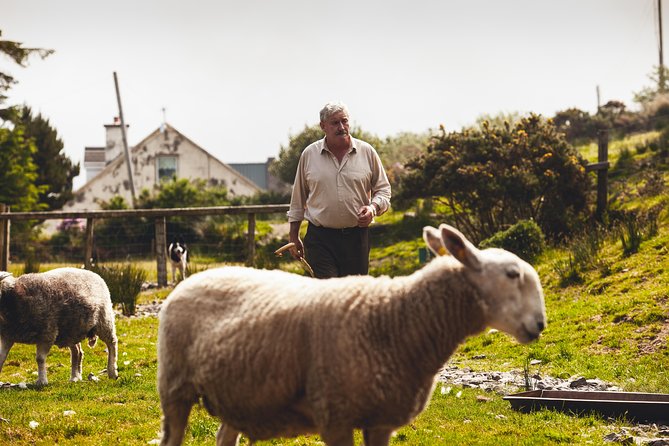 Dublin to South West 5 Day Small-Group Tour with Accommodation - Why this five-day route works