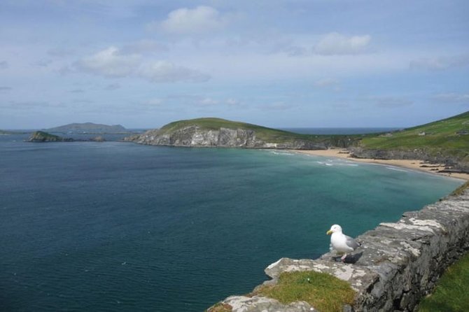 Dublin to South West 5 Day Small-Group Tour with Accommodation - Packing, costs, and daily comfort