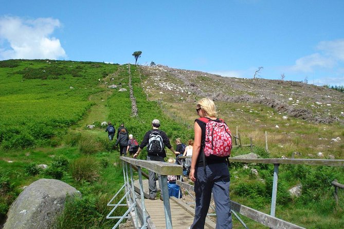 Dublin to Wicklow, Glendalough Small Group Tour with Guided Walk - Sally Gap and Lough Tay