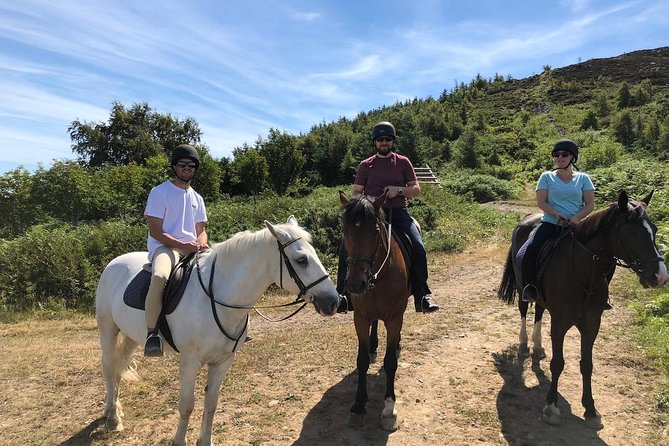 Dublin to Wicklow, Glendalough Small Group Tour with Horse Riding - Killegar Stables and the 90-minute ride