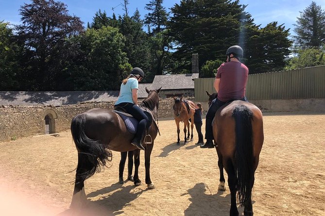 Dublin to Wicklow, Glendalough Small Group Tour with Horse Riding - How the guides shape the day