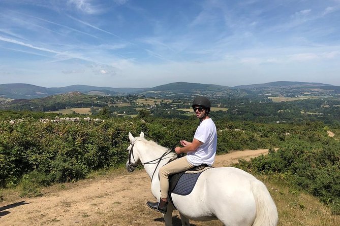 Dublin to Wicklow, Glendalough Small Group Tour with Horse Riding - Who should book this experience