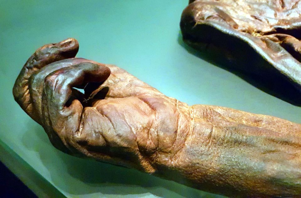 Dublin: Treasures of Ireland Museums Private Tour - Is Dublin’s museum tour worth booking?