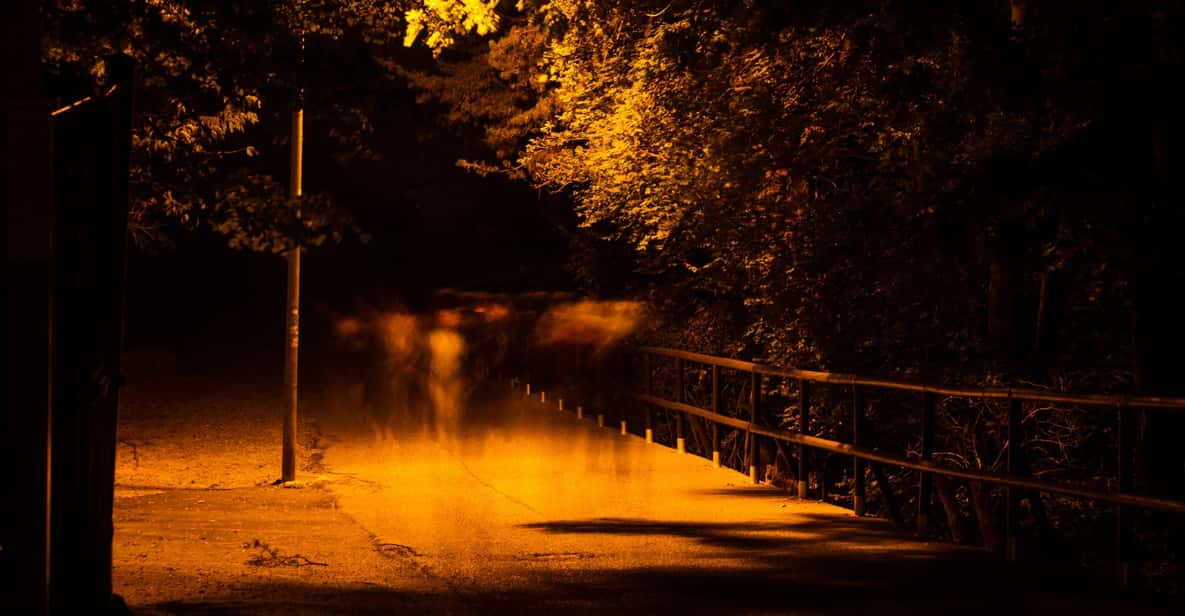Dublin walking tour: ghosts & haunted places - Key points at a glance