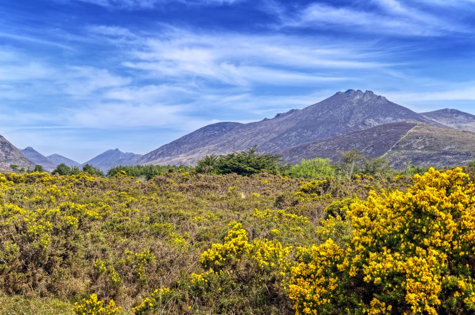 From Dublin: 3-Day Discover Northern Ireland Tour - Accommodation, food, and luggage limits